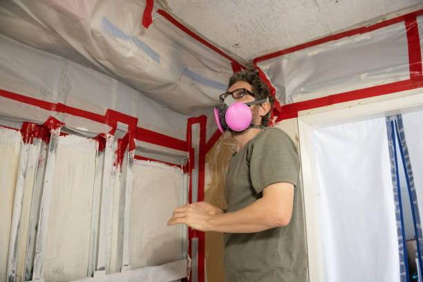 Trusted Murrysville, PA Mold Removal Experts